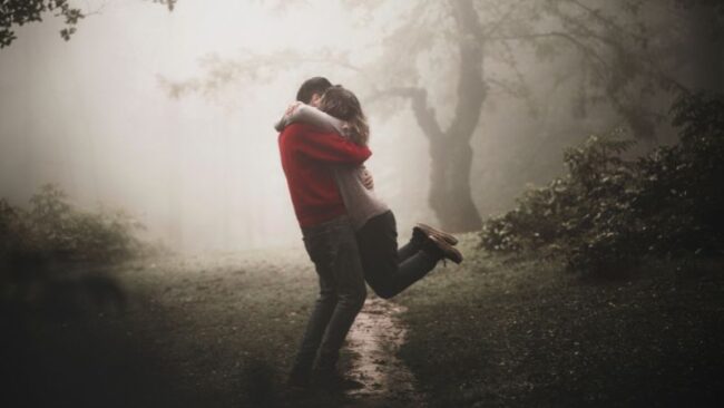 herbst-nebel_800x450