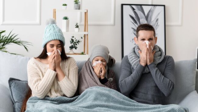 erkaeltung immunsystem stärken