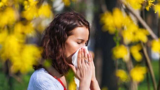 Frühling im Zwiespalt Wenn die Natur zur Herausforderung wird