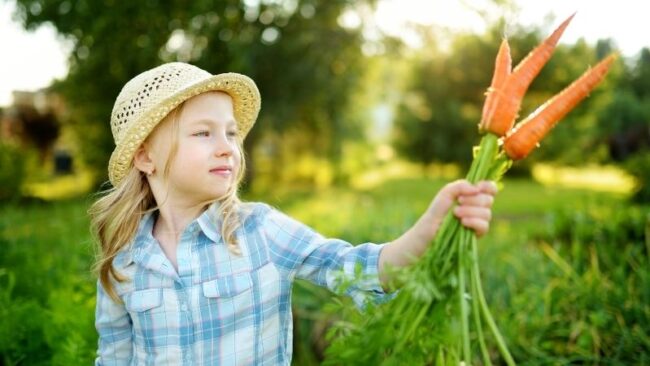 Herbst-Check für Kinder kleines mädchen mit strohhut hält einen bund karotten in ihrer linken hand